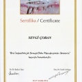 Resmi büyüt: certificate 20