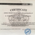 Resmi büyüt: certificate 16