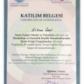 Resmi büyüt: certificate 9