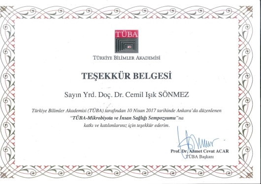 Cemil Işık Sönmez-9