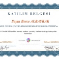 Resmi büyüt: certificate 8