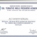 Resmi büyüt: certificate 18