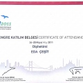 Resmi büyüt: certificate 1