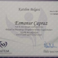Resmi büyüt: certificate 8