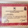 Resmi büyüt: certificate 17