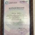Resmi büyüt: certificate 2