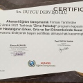 Resmi büyüt: certificate 33
