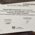 Resmi büyüt: certificate 22