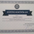 Resmi büyüt: certificate 6