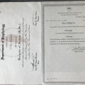 Resmi büyüt: certificate 1