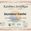 Resmi büyüt: certificate 24