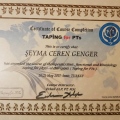 Resmi büyüt: certificate 2