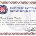 Resmi büyüt: certificate 17