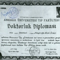 Resmi büyüt: certificate 1