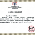 Resmi büyüt: certificate 15