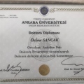 Resmi büyüt: certificate 1