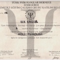 Resmi büyüt: certificate 2