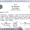 Resmi büyüt: certificate 4