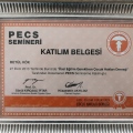 Resmi büyüt: certificate 8