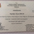 Resmi büyüt: certificate 6