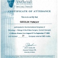Resmi büyüt: certificate 4