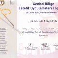 Resmi büyüt: certificate 9