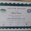 Resmi büyüt: certificate 2