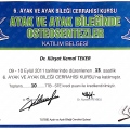 Resmi büyüt: certificate 9