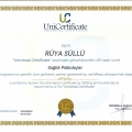 Resmi büyüt: certificate 18