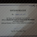 Resmi büyüt: certificate 33