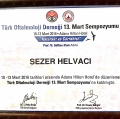 Resmi büyüt: certificate 10