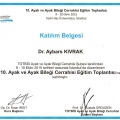 Resmi büyüt: certificate 15