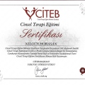Resmi büyüt: certificate 6