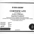 Resmi büyüt: certificate 6