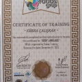 Resmi büyüt: certificate 7