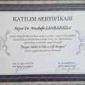 Resmi büyüt: certificate 1