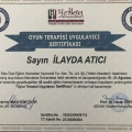 Resmi büyüt: certificate 10