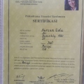 Resmi büyüt: certificate 2
