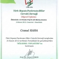 Resmi büyüt: certificate 10