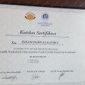 Resmi büyüt: certificate 1