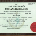 Resmi büyüt: certificate 9