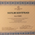 Resmi büyüt: certificate 14