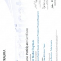 Resmi büyüt: certificate 1