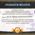 Resmi büyüt: certificate 6