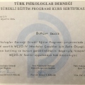 Resmi büyüt: certificate 11