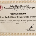 Resmi büyüt: certificate 12