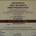 Resmi büyüt: certificate 6