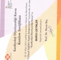 Resmi büyüt: certificate 8