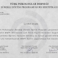 Resmi büyüt: certificate 6