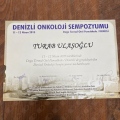 Resmi büyüt: certificate 2